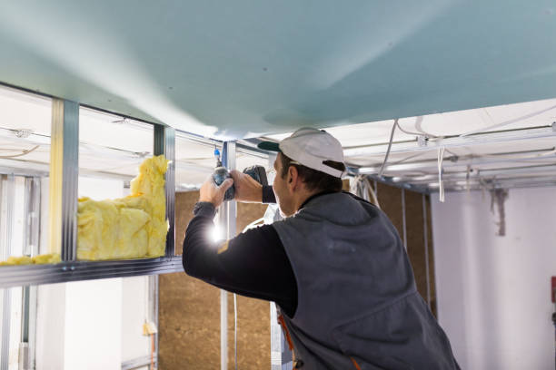 Best Insulation Replacement Services  in Montrose, PA